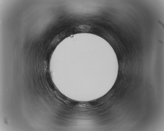 X0000102780752200809151102