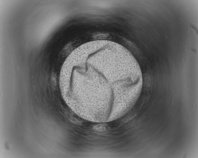 X0000102780761200809151103