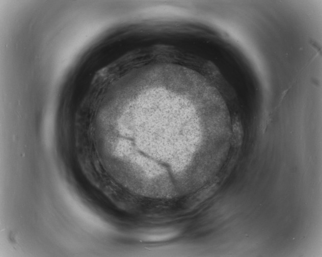 X0000102780765200809151103