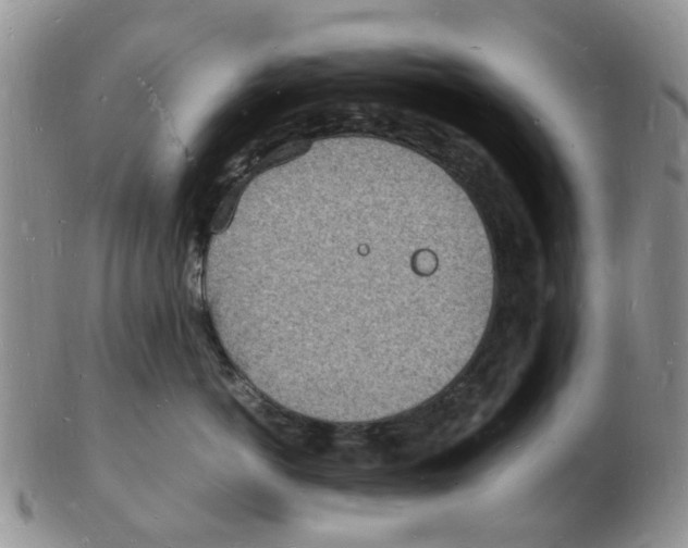 X0000102780766200809151103