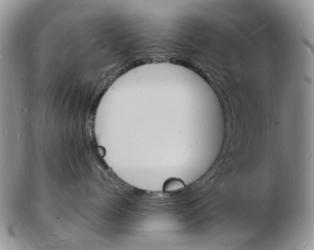 X0000102780768200809151103