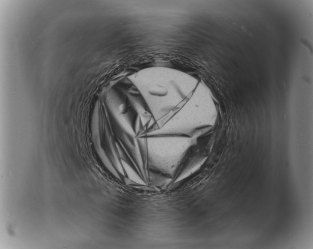 X0000102780769200809151102