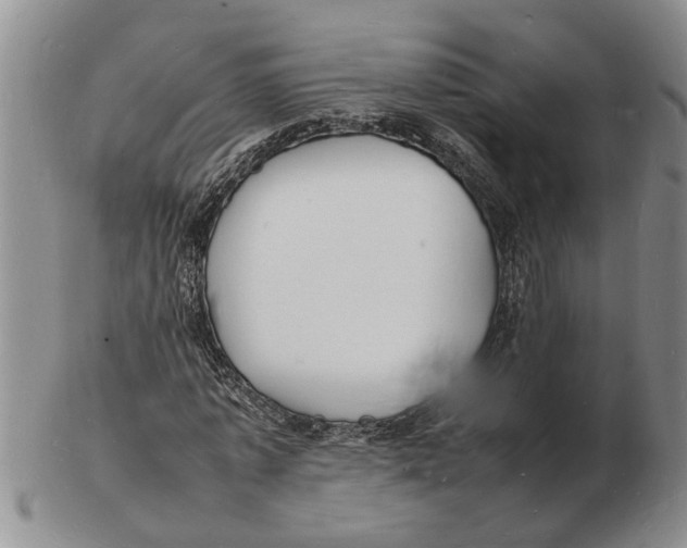 X0000102780773200809151102