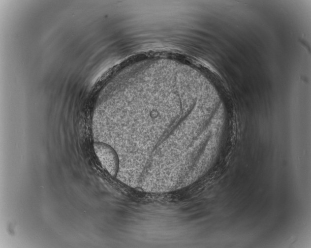 X0000102780775200809151102