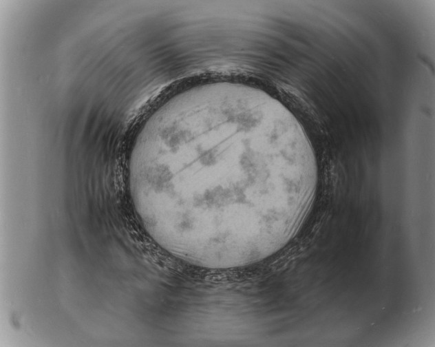 X0000102780776200809151102