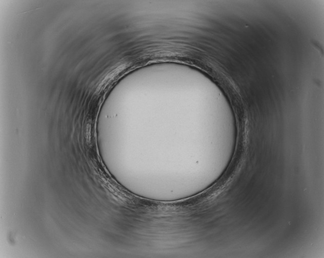 X0000102780777200809151102