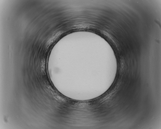 X0000102780778200809151102