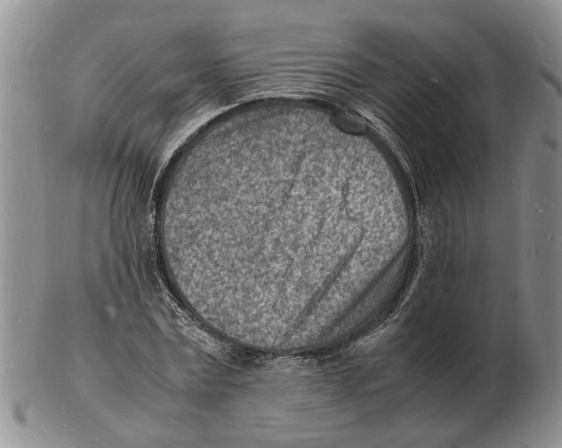 X0000102780779200809151102