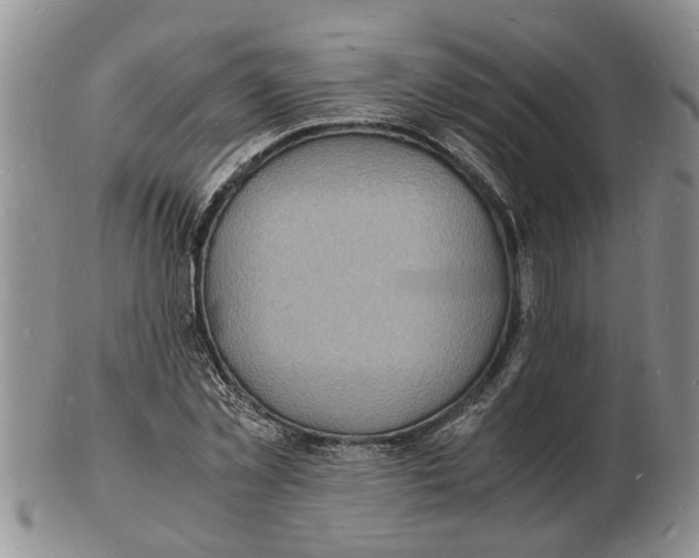 X0000102780781200809151102