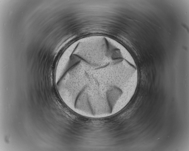 X0000102780782200809151102