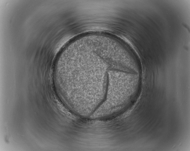 X0000102780783200809151102