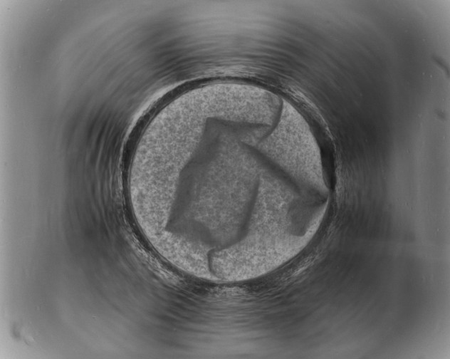 X0000102780784200809151102