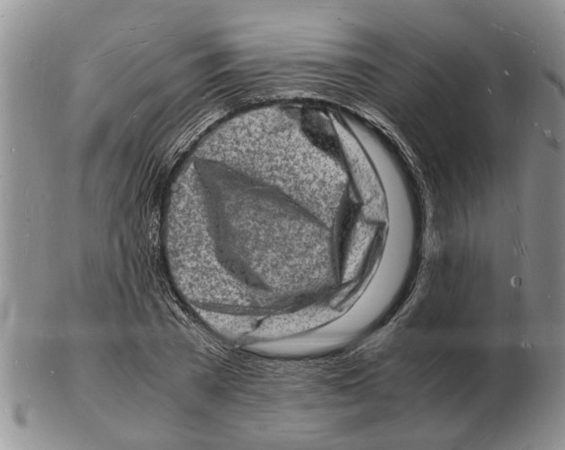 X0000102780785200809151102