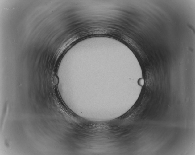 X0000102780786200809151102