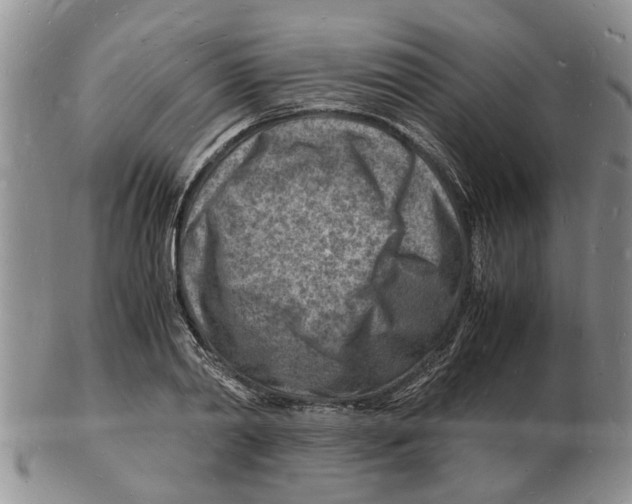 X0000102780790200809151101