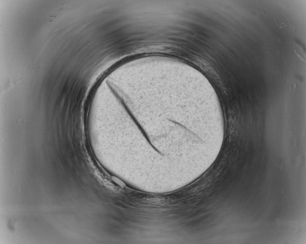 X0000102780792200809151101