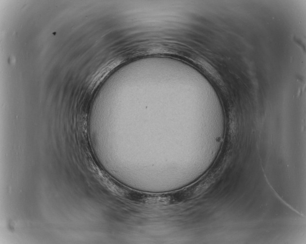 X0000102780793200809151101