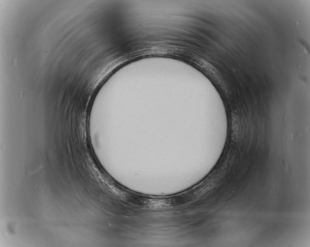 X0000102780794200809151101