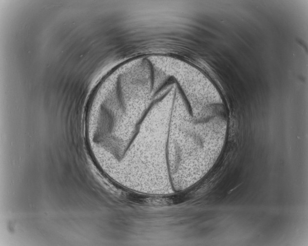 X0000102780795200809151101