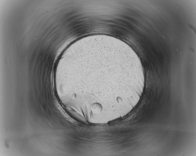 X0000102780796200809151101