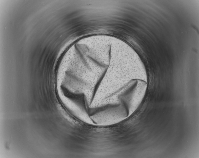 X0000102780800200809151101