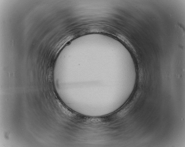 X0000102780801200809151101