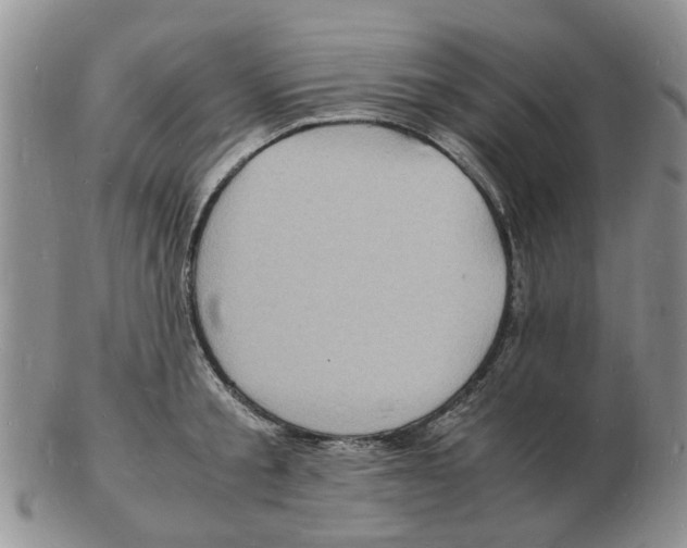 X0000102780805200809151101