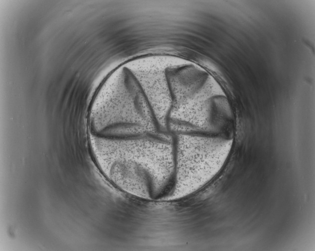 X0000102780808200809151101