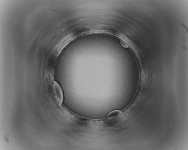 X0000102780809200809151101