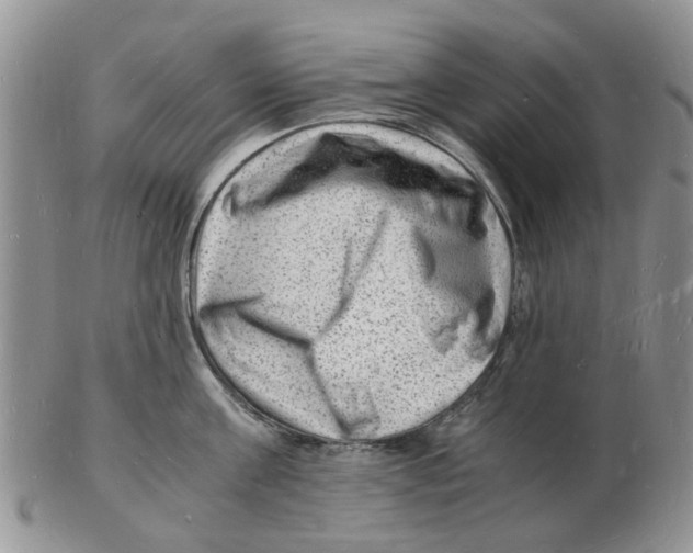 X0000102780811200809151101