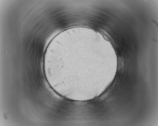 X0000102780812200809151101