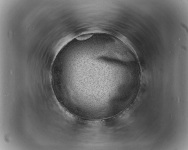 X0000102780813200809151101