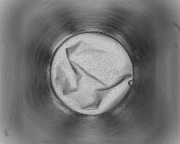 X0000102780814200809151101