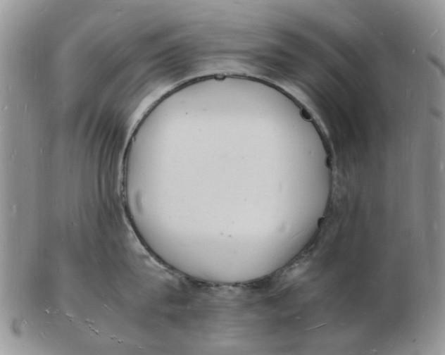 X0000102780815200809151101