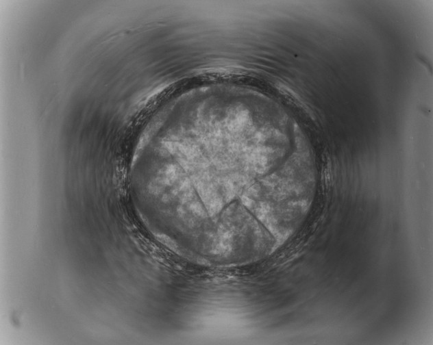 X0000102780822200809151100