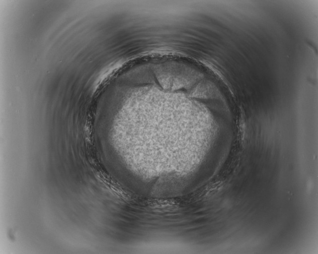 X0000102780823200809151101