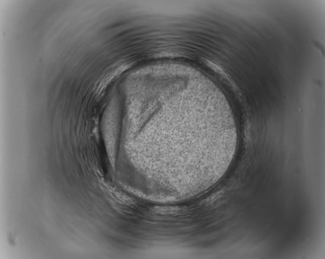 X0000102780825200809151101