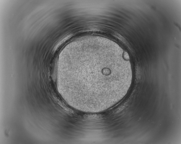 X0000102780826200809151101