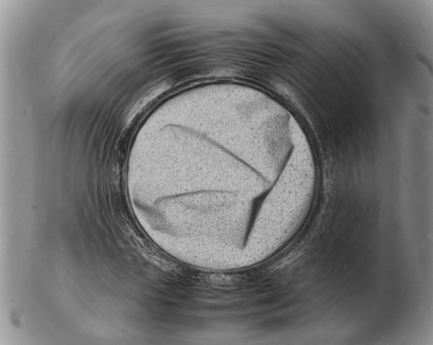 X0000102780827200809151101