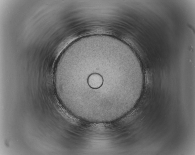 X0000102780828200809151101