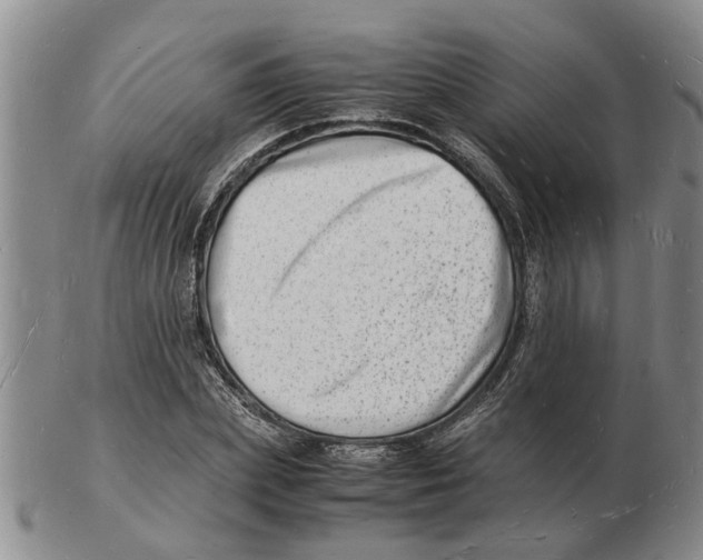 X0000102780831200809151101