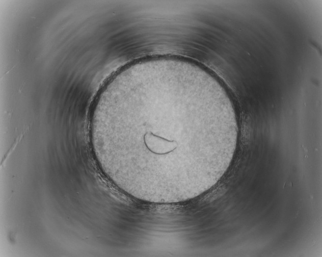 X0000102780832200809151101