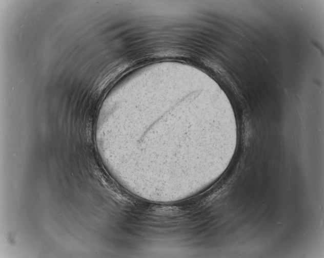 X0000102780833200809151101