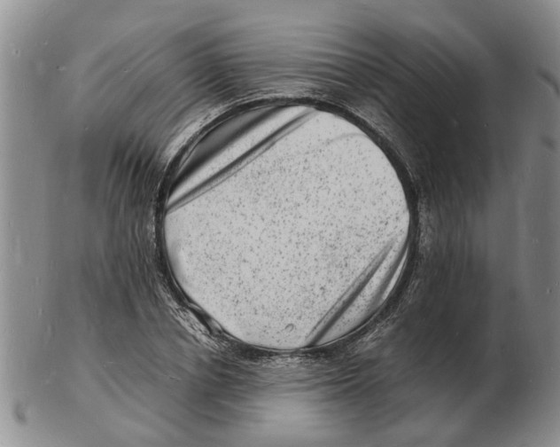 X0000102780834200809151101