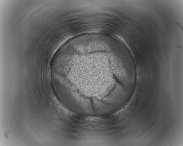 X0000102780835200809151101