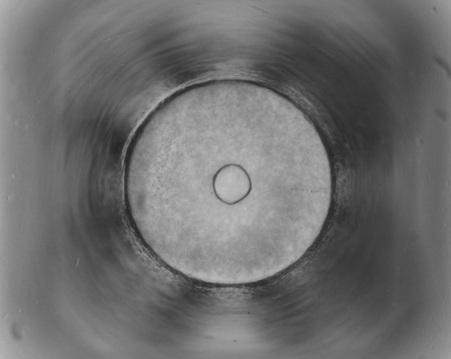 X0000102780836200809151101