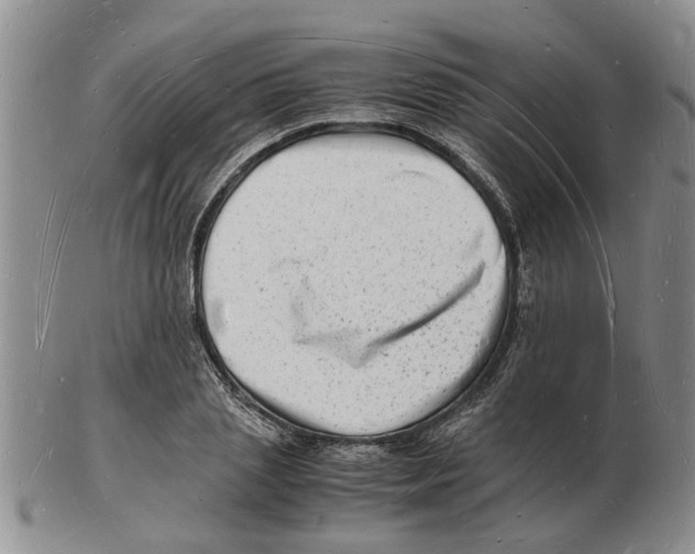 X0000102780837200809151101