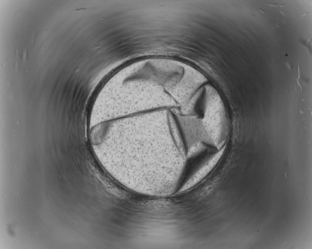 X0000102780838200809151101