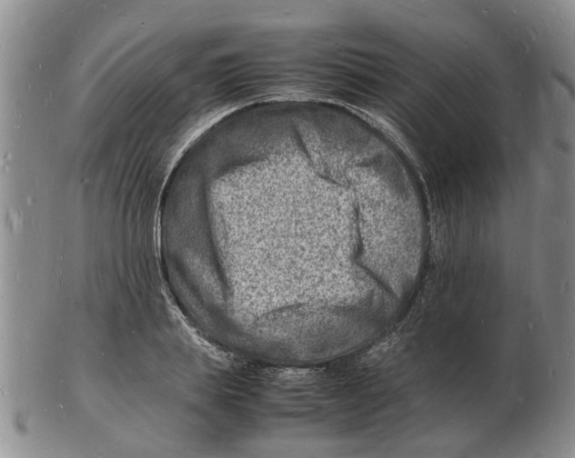 X0000102780839200809151101