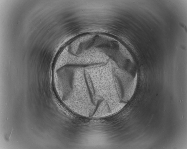 X0000102780840200809151101